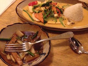 Tofu with Curry at Sunshine Vegan Restaurant in Berlin