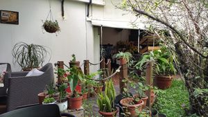 Interior 5 at Lavka in Guatemala City