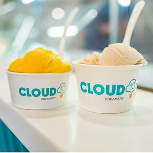 . at Cloud 10 Creamery in Houston