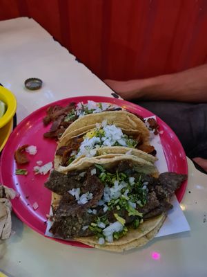More tacos at Gracias Madre in Mexico City