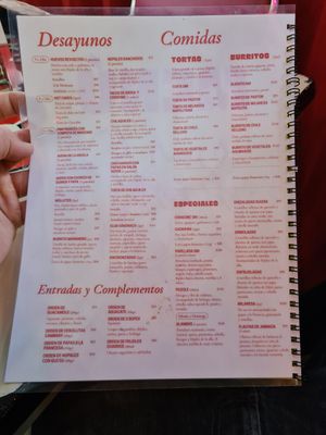 Menu at Gracias Madre in Mexico City