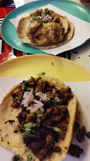  at Gracias Madre in Mexico City