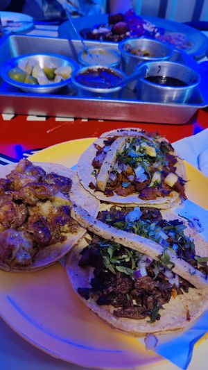 Tacos: Pastor, Tripa, Birrira at Gracias Madre in Mexico City