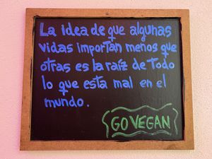   at Gracias Madre in Mexico City