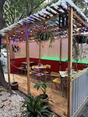   at Gracias Madre in Mexico City