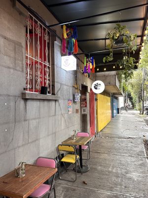   at Gracias Madre in Mexico City