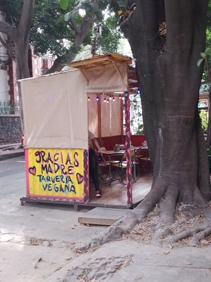 Gracias Madre at Gracias Madre in Mexico City