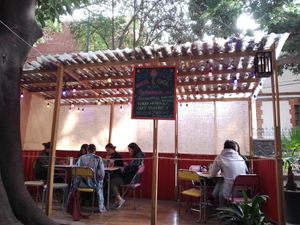 Outdoors at Gracias Madre in Mexico City