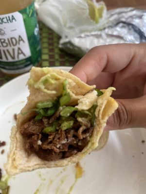 Close-Up of Taco de Suadero 😋🌮💖  at Gracias Madre in Mexico City