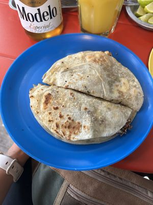 Gringa  at Gracias Madre in Mexico City