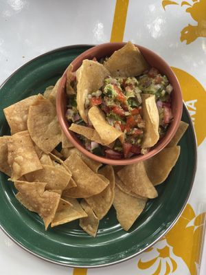   at Gracias Madre in Mexico City