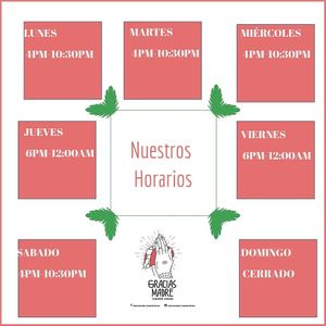 Horarios at Gracias Madre in Mexico City