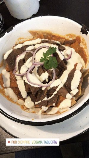 Chilaquiles con orden extra de milanesa de seitan ❤️ at Gracias Madre in Mexico City