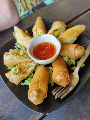 Spring rolls at Jai-Dee Home  in Koh Lanta