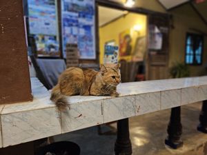  at Jai-Dee Home  in Koh Lanta