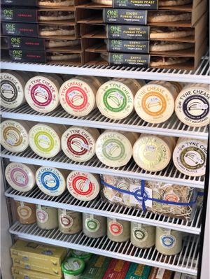 All flavours of Tyne chease at Alternative Stores - Online store in North Shields