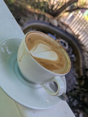 Oat flat white at Thyme & Again in Plettenberg Bay