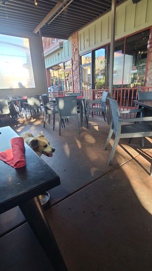 Dog-friendly patio at Sedona Pizza & Pasta Company in Sedona