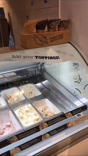 Waffle cones and ice cream flavours (only 4 vegan flavours) at Ben & Jerry's in Rotterdam