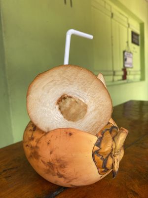 Never seen the King Coconut presented so artfully!  at Matey Hut in Ella
