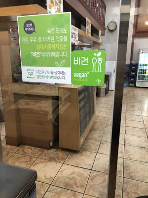 Great vegan buffet  at Tteul Ahn Chae in Suwon
