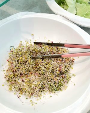 fresh sprouts 새싹 at Tteul Ahn Chae in Suwon