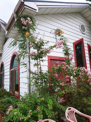 The exterior on the way to rear parking lot during Summer 2024 at Tteul Ahn Chae in Suwon