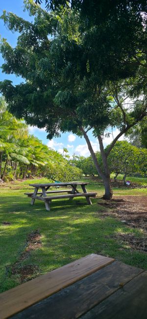  at Kahuku Farms Cafe in Kahuku