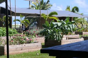 Farm Cafe at Kahuku Farms Cafe in Kahuku