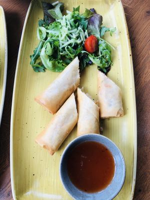 Vegan groente loempia’s   at Slot Oostende in Goes