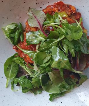 Falafel in tomatosauce with mushrooms and bellpepper at Slot Oostende in Goes