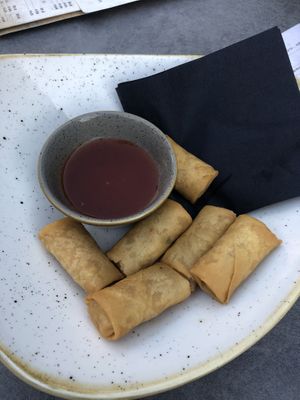 Vegan fried spring rolls. at Slot Oostende in Goes