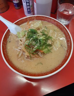 Large vegan ramen bowl at Tokkyu Ramen in Kyoto