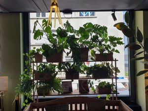 Interior at Tibits in Basel