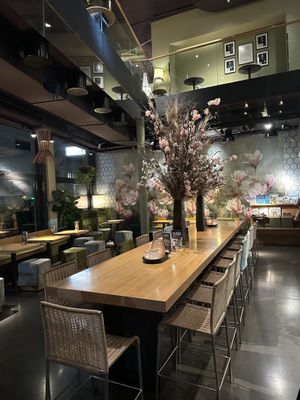 Inside Seating   at Tibits in Basel