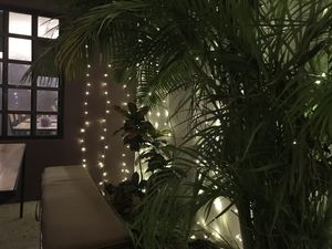 Super nice patio / patio muy agradable at Veganteria in Monterrey