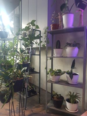 Inside at Ray's Bottle of Joe in Jakarta