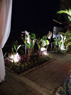 Perfect ambience at Friendship Concept in Pai