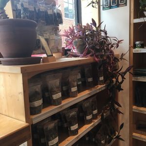 Crudessence (Rachel) at Crudessence - Rachel in Montreal