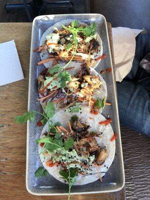 Jackfruit tacos at Halo in Queenstown
