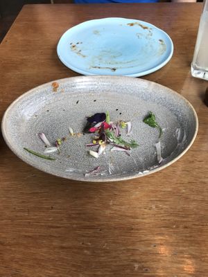 Oooops ate it all before I could get a photo. Cauliflower wings and vegan bruschetta. Good start to the meal! at Halo in Queenstown