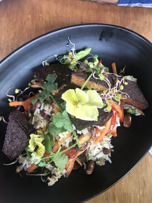 Tofu rice  at Halo in Queenstown