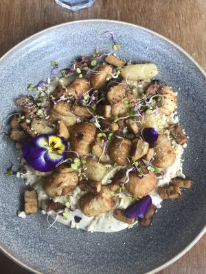 Gnocchi.. was good ! at Halo in Queenstown