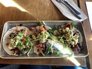 Tacos  at Halo in Queenstown