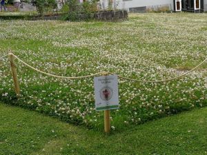 🌷❤🌷 at Good Day Deli in Cork