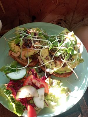 Avocado toast vegan at Coffee Stains in Pai