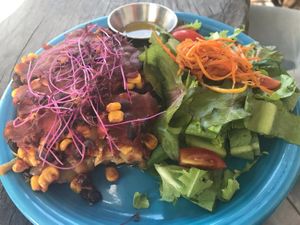 Vegan enchiladas (gf) at Shoot's Alive in San Pedro