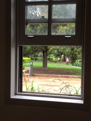 View from my table  at Gardener's Lodge in Camperdown