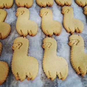  at Sandford's Bakery in Great Torrington