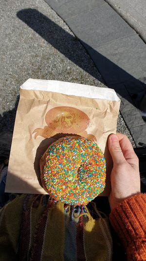 Sprinkle donut at Fergbaker in Queenstown